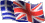 language selection